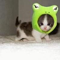 Frances Stevenson Photo 15