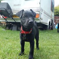 David Vernon Photo 36 David Vernon Photo 36