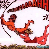 Denise Vincent Photo 20