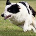 Sue Wessel Photo 13