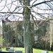 Elizabeth Ryland Photo 16
