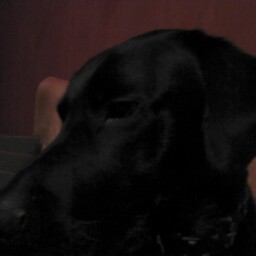 Stefanie Roth Photo 28