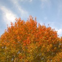 Sandra Albert Photo 29