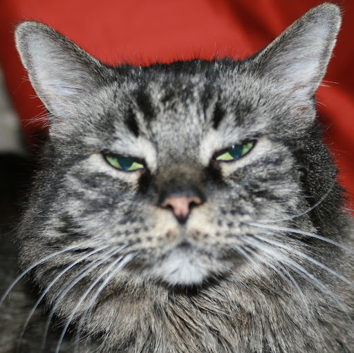 Bryan Powers Photo 13