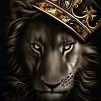 Gerald Banks Photo 6