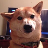 Erin Rutledge Photo 11