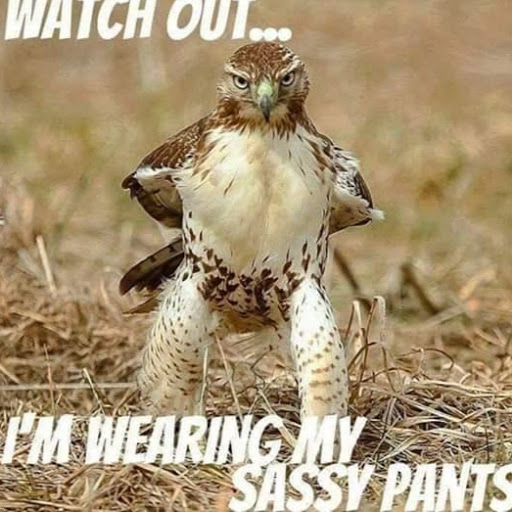 Amy Stafford Photo 27