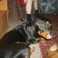 Anne Lehman Photo 37