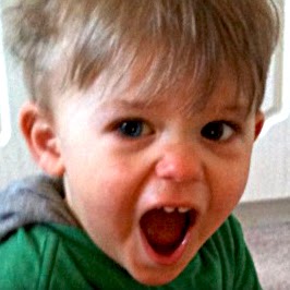 David Grogan Photo 22