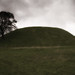 Anne Moroney Photo 8
