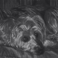 Joan Thornton Photo 23