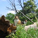 Aimee Woods Photo 34