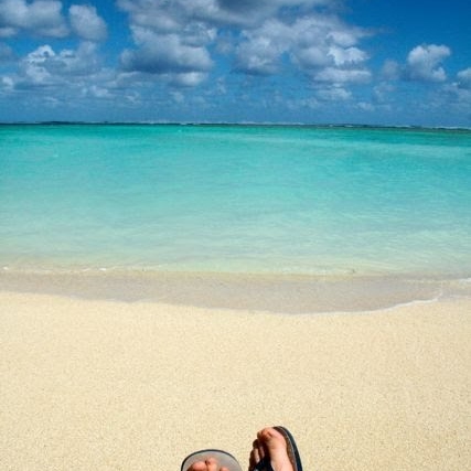 Daniel Humphrey Photo 36