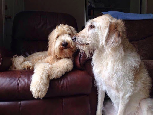 Stacey Lynch Photo 11