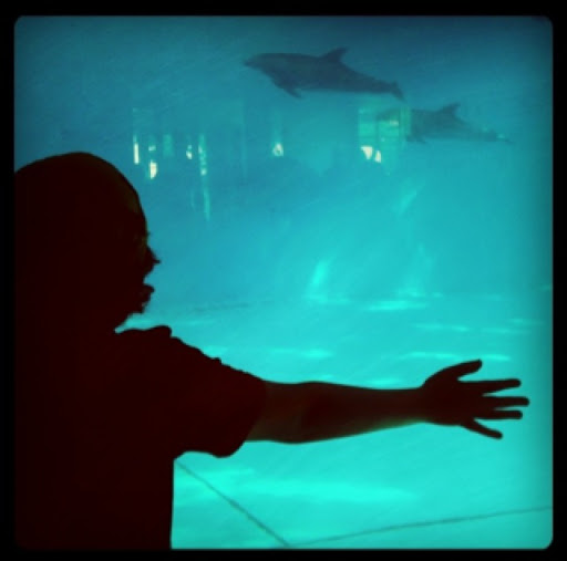 Ben Rickards Photo 14