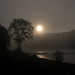 Stanley Weir Photo 7