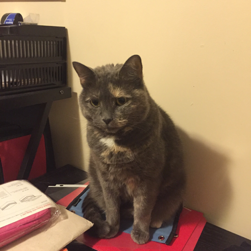 Mary Albert Photo 22