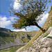 Janet Berry Photo 38