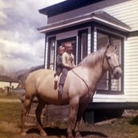 Rebecca Higgs Photo 12