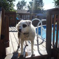 Cindy Greenberg Photo 26