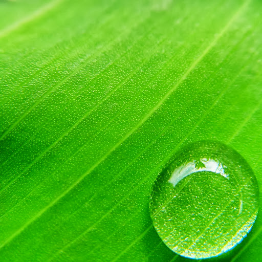 Bonnie Cheung Photo 21