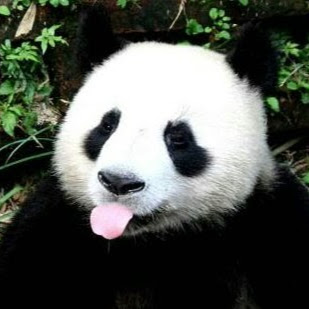 Christopher Denny Photo 27