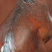 Donna Kroll Photo 8