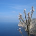 Flor Rocha Photo 24