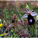 Al Moretti Photo 11