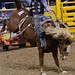 Dustin Kruse Photo 7