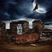 Brenda Fox Photo 47