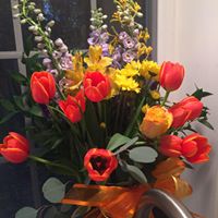 Michelle Fortier Photo 27