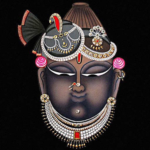 Avnish Patel Photo 24