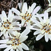 Joseph Valle Photo 44