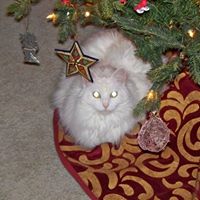 Karen Doherty Photo 10