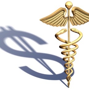 Stacey Amendolea Photo 3