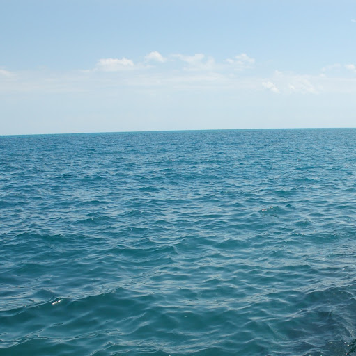 Victoria Joy Photo 17