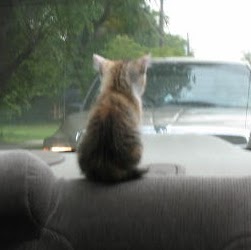 Julian Fields Photo 4