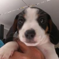 Julia Griggs Photo 7