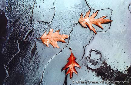 Staci Clarke Photo 1