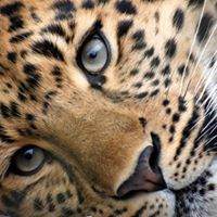 Carol Mathews Photo 15