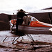 Sandy Atkinson Photo 20