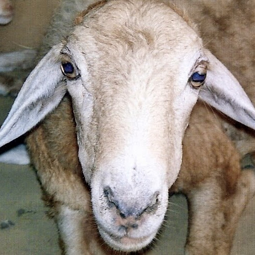 Alex Montgomery Photo 29