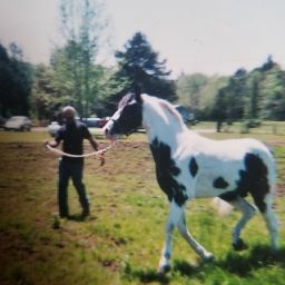 Kenneth Powers Photo 18