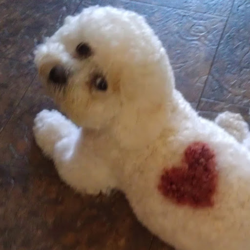 Jeanne Atkinson Photo 8