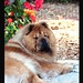 Wanda Miller Photo 19
