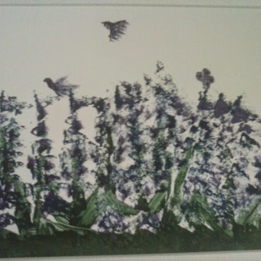 Lisa Walker Photo 13