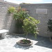 Tracy Spencer Photo 7