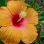 Rebecca Stubblefield Photo 10