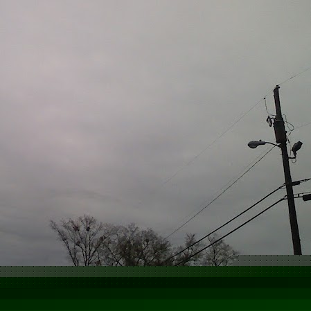 Mary Field Photo 7